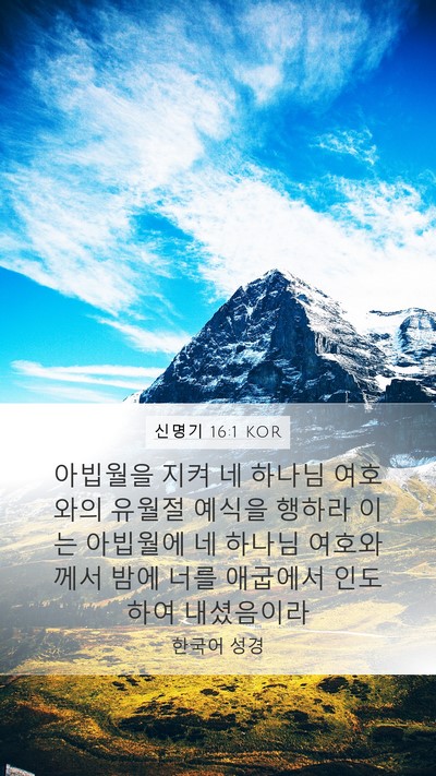 신명기 16:1 KOR Bible Verse Image