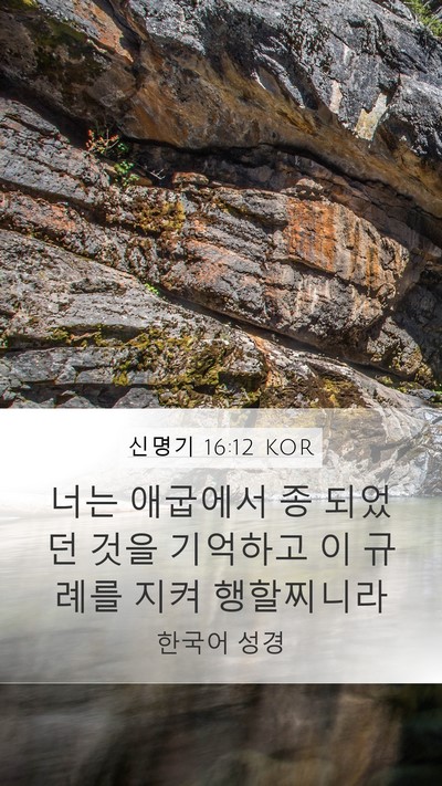 신명기 16:12 KOR Bible Verse Image