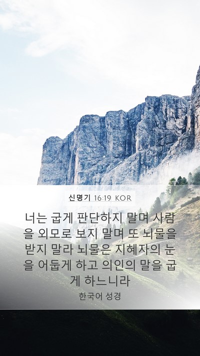 신명기 16:19 KOR Bible Verse Image