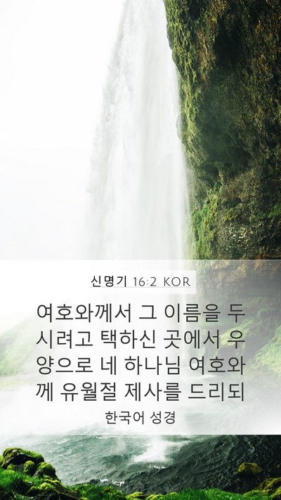 신명기 16:2 KOR Bible Verse Image