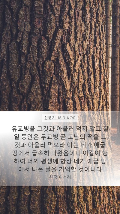 신명기 16:3 KOR Bible Verse Image