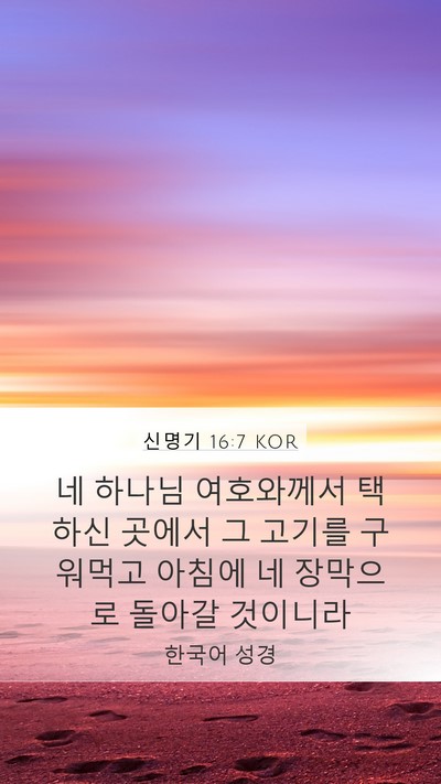 신명기 16:7 KOR Mobile Phone Wallpaper - 네 하나님 여호와께서 택하신 곳에서 - Mobile Bible Verse Wallpaper