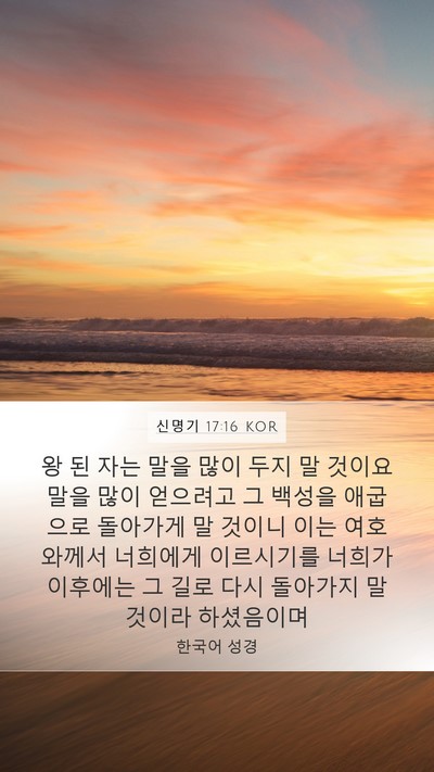 신명기 17:16 KOR Bible Verse Image