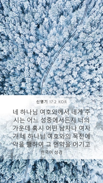 신명기 17:2 KOR Bible Verse Image
