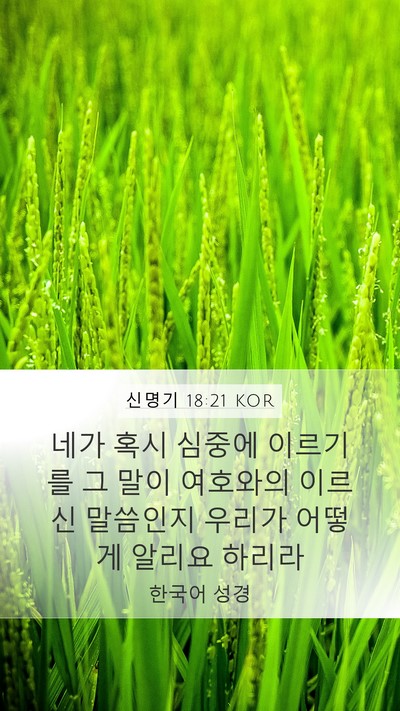 신명기 18:21 KOR Bible Verse Image