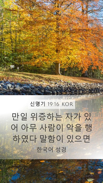 신명기 19:16 KOR Bible Verse Image