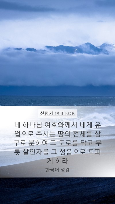 신명기 19:3 KOR Mobile Phone Wallpaper - 네 하나님 여호와께서 네게 유업으로 - Mobile Bible Verse Wallpaper