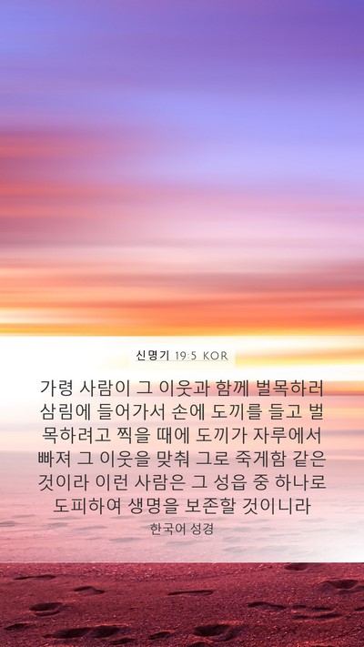 신명기 19:5 KOR Bible Verse Image