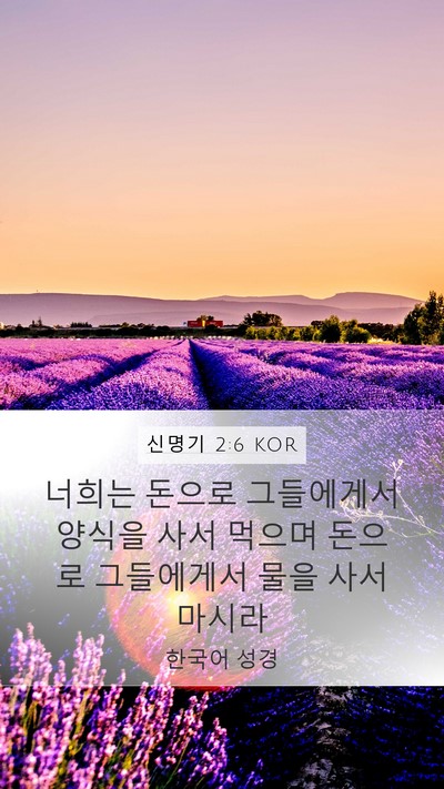 신명기 2:6 KOR Bible Verse Image