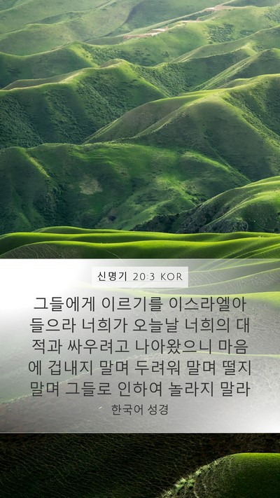 신명기 20:3 KOR Bible Verse Image