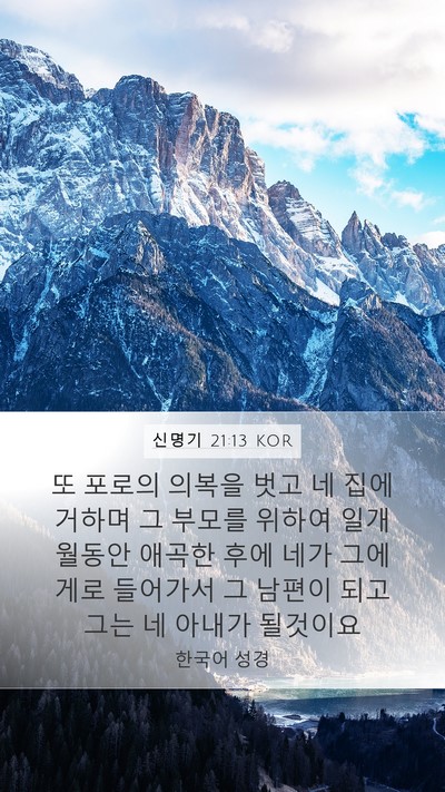 신명기 21:13 KOR Bible Verse Image