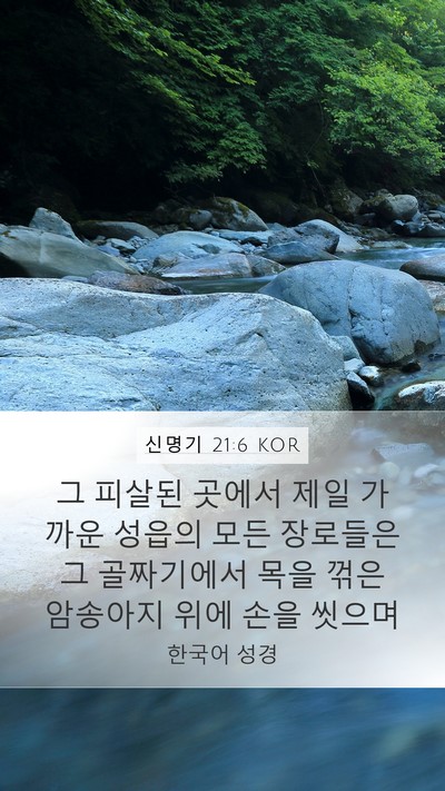 신명기 21:6 KOR Bible Verse Image
