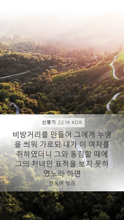 신명기 22:14 KOR Bible Verse Image