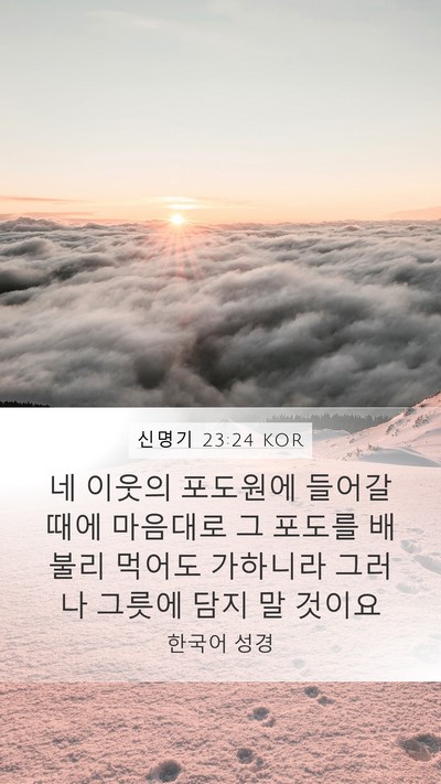 신명기 23:24 KOR Mobile Phone Wallpaper - 네 이웃의 포도원에 들어갈 때에 - Mobile Bible Verse Wallpaper