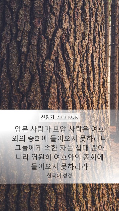 신명기 23:3 KOR Bible Verse Image