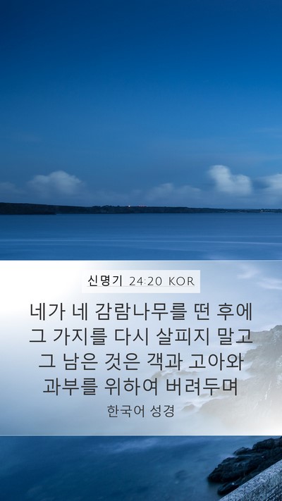 신명기 24:20 KOR Mobile Phone Wallpaper - 네가 네 감람나무를 떤 후에 그 - Mobile Bible Verse Wallpaper