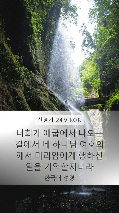 신명기 24:9 KOR Bible Verse Image