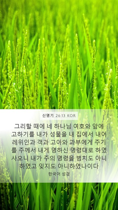 신명기 26:13 KOR Bible Verse Image