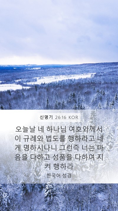 신명기 26:16 KOR Bible Verse Image
