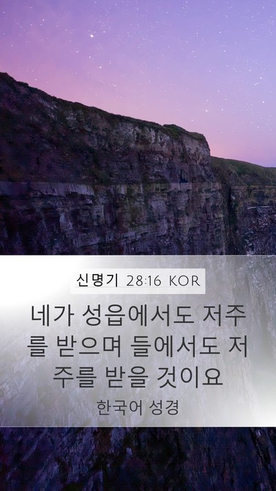 신명기 28:16 KOR Mobile Phone Wallpaper - 네가 성읍에서도 저주를 받으며 - Mobile Bible Verse Wallpaper