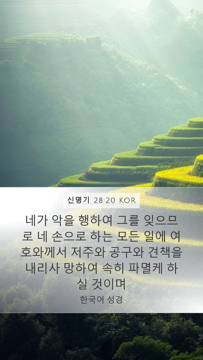신명기 28:20 KOR Bible Verse Image