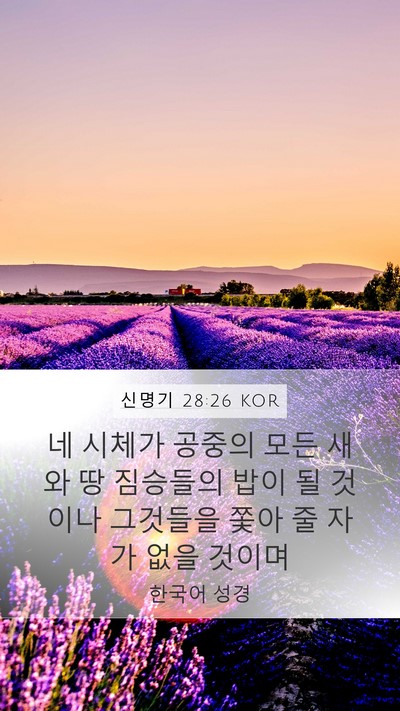 신명기 28:26 KOR Bible Verse Image