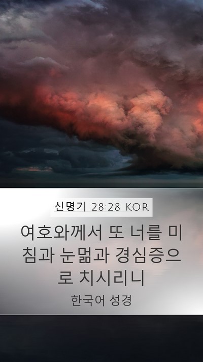 신명기 28:28 KOR Bible Verse Image
