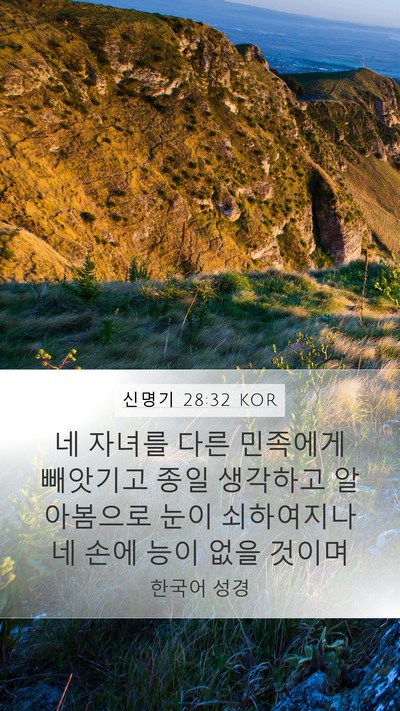 신명기 28:32 KOR Bible Verse Image