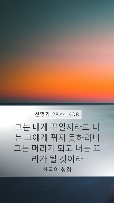신명기 28:44 KOR Bible Verse Image