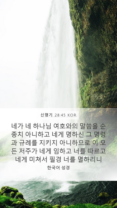 신명기 28:45 KOR Bible Verse Image