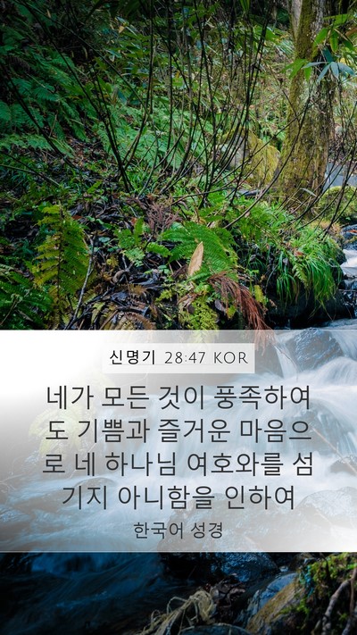 신명기 28:47 KOR Bible Verse Image