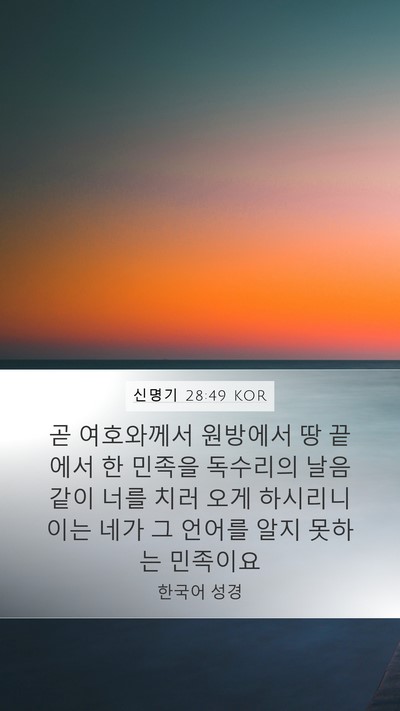 신명기 28:49 KOR Bible Verse Image