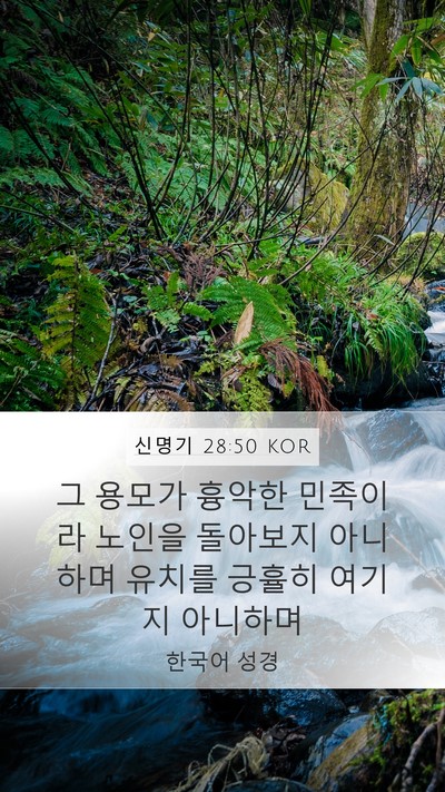 신명기 28:50 KOR Bible Verse Image