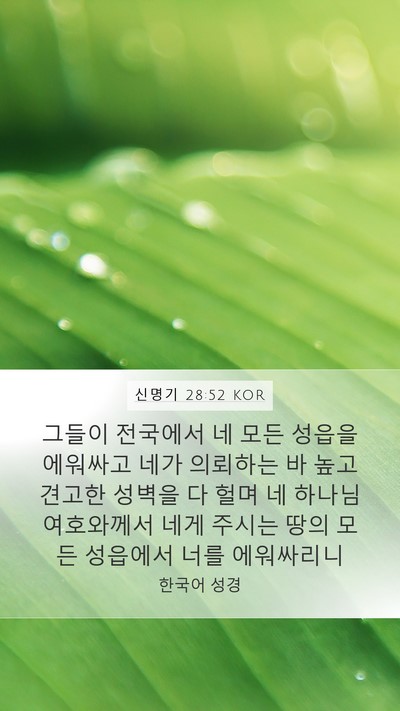 신명기 28:52 KOR Bible Verse Image