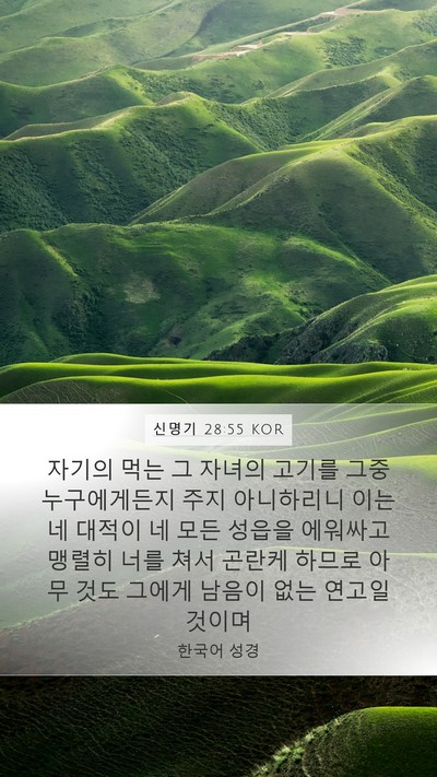 신명기 28:55 KOR Bible Verse Image