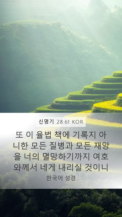 신명기 28:61 KOR Mobile Phone Wallpaper - 또 이 율법 책에 기록지 아니한 모든 - Mobile Bible Verse Wallpaper