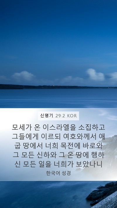 신명기 29:2 KOR Bible Verse Image