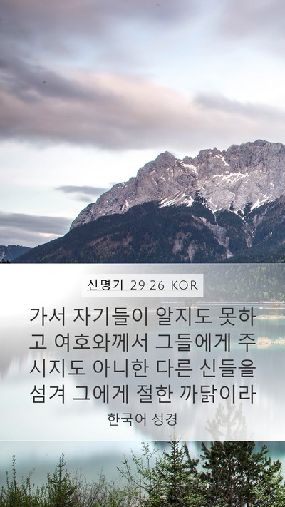 신명기 29:26 KOR Bible Verse Image
