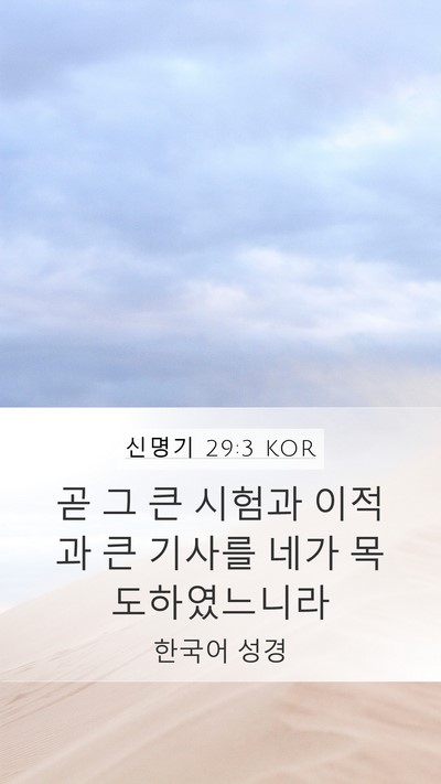 신명기 29:3 KOR Bible Verse Image
