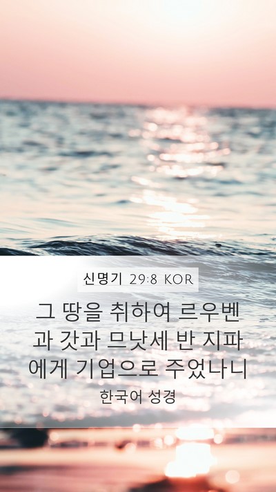 신명기 29:8 KOR Bible Verse Image