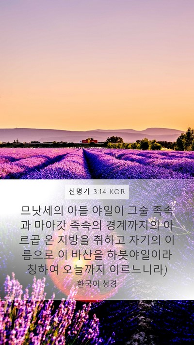 신명기 3:14 KOR Bible Verse Image