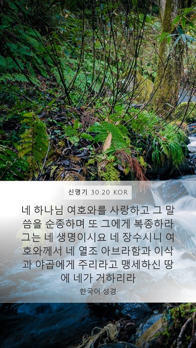 신명기 30:20 KOR Bible Verse Image