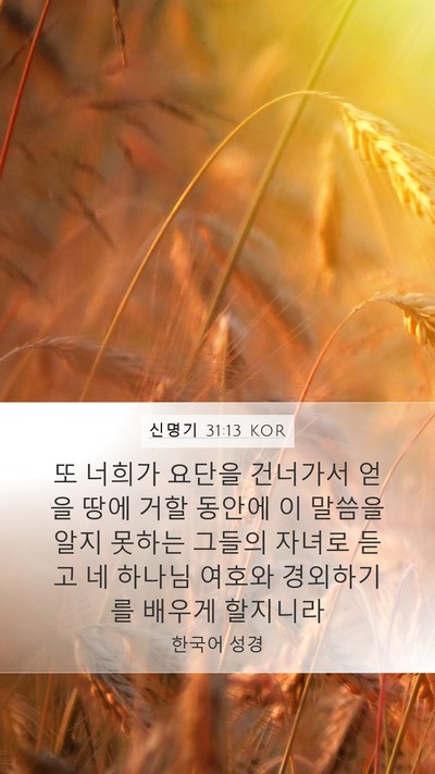 신명기 31:13 KOR Bible Verse Image