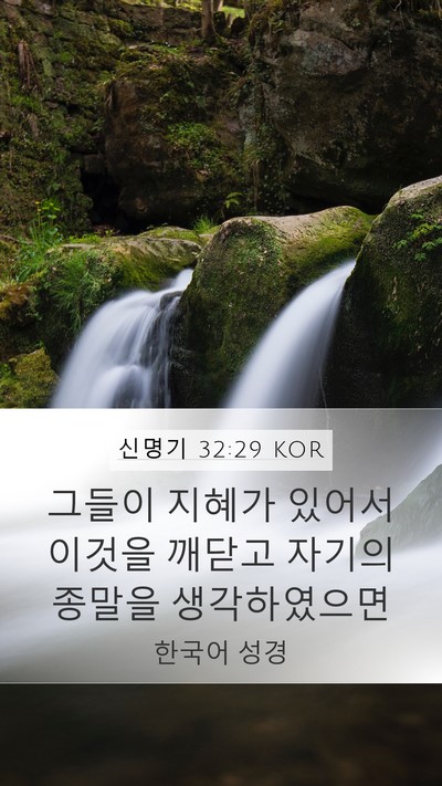 신명기 32:29 KOR Bible Verse Image