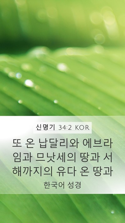 신명기 34:2 KOR Mobile Phone Wallpaper - 또 온 납달리와 에브라임과 므낫세의 - Mobile Bible Verse Wallpaper