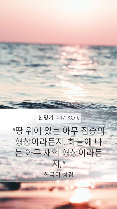 신명기 4:17 KOR Mobile Phone Wallpaper - 
