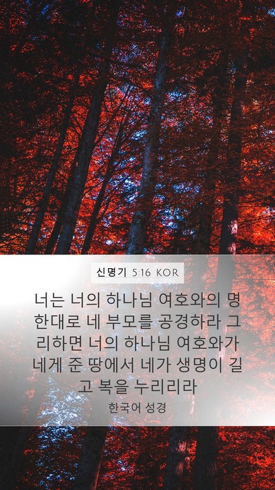 신명기 5:16 KOR Bible Verse Image