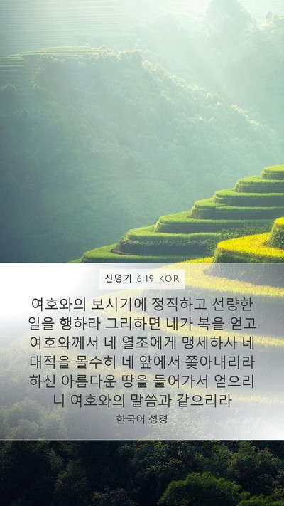 신명기 6:19 KOR Mobile Phone Wallpaper - 여호와의 보시기에 정직하고 선량한 - Mobile Bible Verse Wallpaper