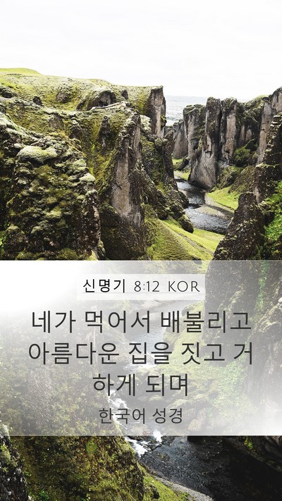 신명기 8:12 KOR Bible Verse Image