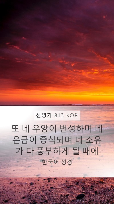 신명기 8:13 KOR Bible Verse Image